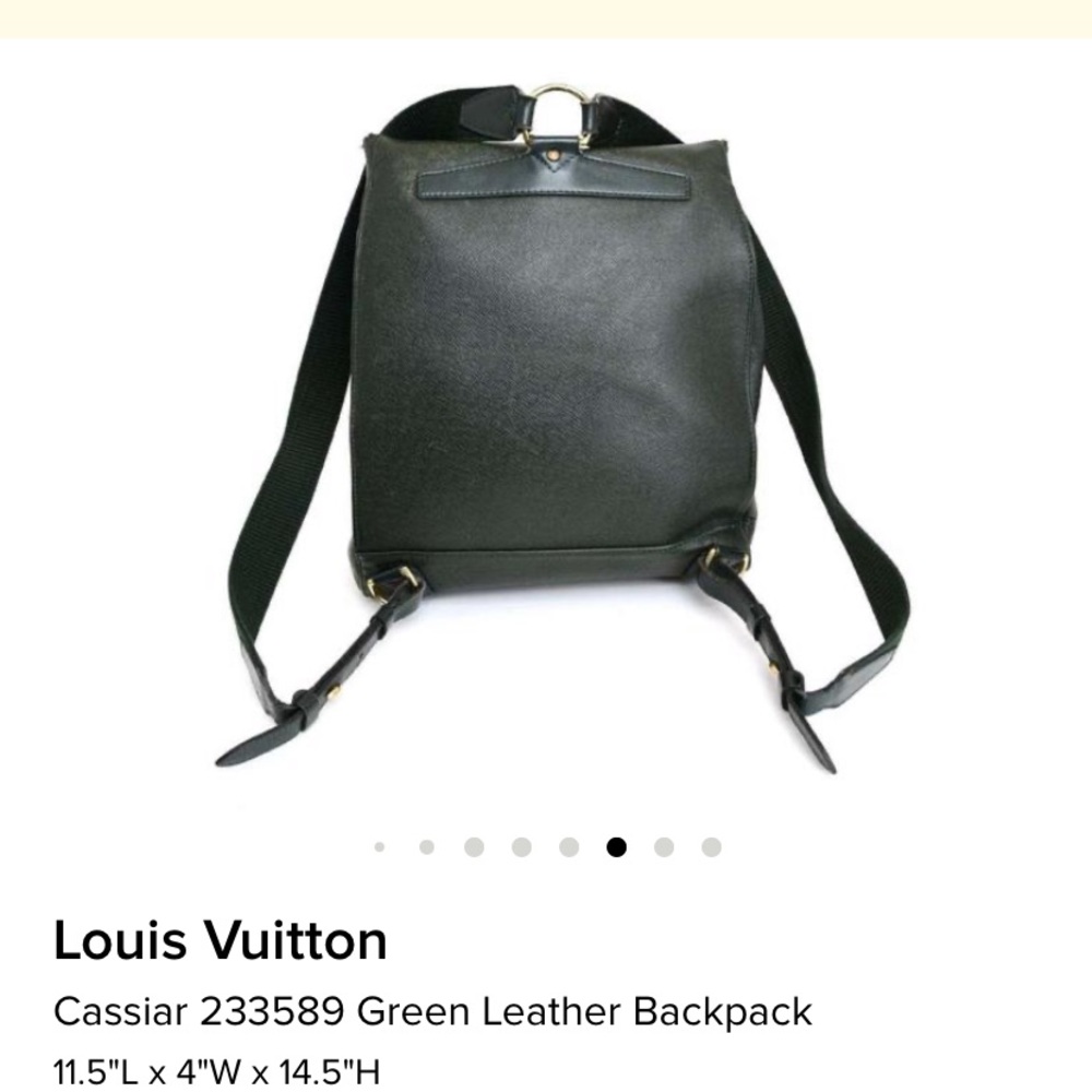 Louis Vuitton Cassiar 233589 Leather Backpack - Picture 10 of 14